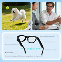 Gafas Inteligentes con Protección Anti-Luz Azul, Cámaras Duales, Asistente de Voz con IA, Traducción de Llamadas Telefónicas, Lentes Fotocromáticas, Gafas de Sol