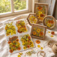 Ensemble de fleurs séchées pressées naturelles, fleurs séchées pressées en vrac pour la création d'art en résine époxy, la fabrication de bijoux, les travaux manuels DIY