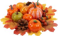 Ensemble de décor de citrouilles d'automne Mini gourde artificielle feuilles d'automne glands pour la maison centres de table d'automne Tables récolte de Thanksgiving