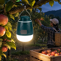 Ampoule LED rechargeable pour stand, étanche IP65, lampe d'urgence portable pour marché nocturne, camping en plein air