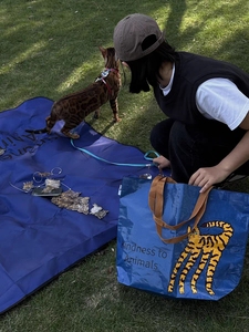 Sac à main en PP imprimé pleine page de haute qualité 38*35*8cm Sac à main pour femmes - Product Image 6