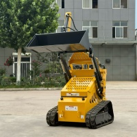 Vente directe usine Chine : Chargeurs frontaux compacts sur roues ou sur chenilles, mini-chargeuses compactes à direction par déplacement