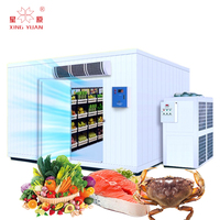 Réfrigérateur de poulet glacé, kit modulaire de cuisine de haute qualité, pour chambre froide, viande, poulet, stockage de fruits, légumes, pommes de terre