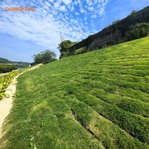 हरी काली मिट्टी को मजबूत करने के लिए भूनेट 3 डी त्रि-आयाम प्लास्टिक भू-जल निकासी के लिए - Product Image 6