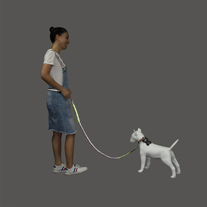 Correa elástica de nailon para perros para deportes al aire libre, cadena para perros, correa reflectante para caminar de noche. - Product Image 1