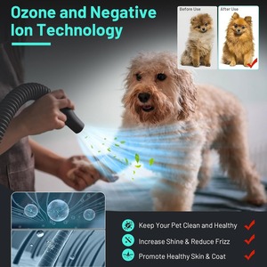 Sèche-cheveux pour chien de grande taille à haute vitesse 5,2 CV 3500 W avec chauffage pour le toilettage - Température réglable avec 4 buses - Product Image 4