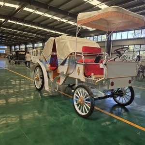 Carroza Eléctrica Cubierta de Alta Eficiencia y Ahorro de Energía, de Largo Alcance, con Piezas Personalizadas para Eventos Panorámicos y Bodas, Suministro Directo de Fábrica - Product Image 3