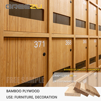 Grand contreplaqué de bambou CDX 3 plis personnalisé Contreplaqué de stratification par cintrage fini en bambou de qualité construction