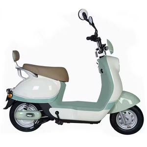 <span class=keywords><strong>2020</strong></span> <span class=keywords><strong>2021</strong></span>จักรยานไฟฟ้าวิบาก500W 14นิ้วสำหรับผู้ชายในสหราชอาณาจักรคลังสินค้ายุโรปและเปรูชิลีสหรัฐอเมริกาแคนาดา - Product Image 2