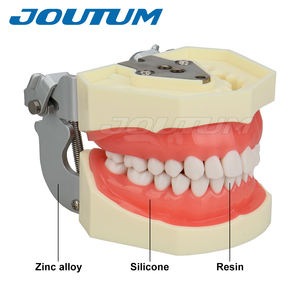 28 pezzi di denti rimovibili modello manuale di alimentazione dentale Typodont strumento per l'insegnamento del dentista forniture di laboratorio - Product Image 4