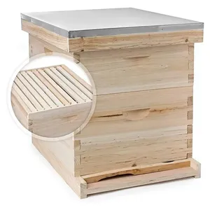 High Quality Langstroth Beehive Complete Equipment Wooden 10/8 Frames Bee Hive Beekeeping Equipment
