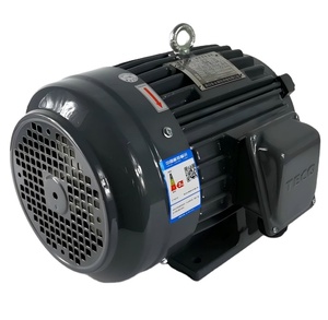 มอเตอร์เทโค แบบสามเฟส ชนิดเหนี่ยวนำ แนวนอน ระดับ IP55 คลาส F 1500 รอบต่อนาที 380V/400V 50Hz มอเตอร์ไฟฟ้าแบบปิดผนึกป้องกัน - Product Image 2