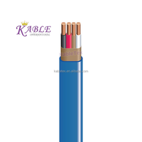 American Standard 600V Câble intérieur NMB NM-B électrique 12/2 Forme plate Isolation en PVC toronné pour la construction de logements
