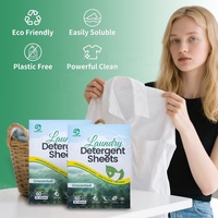 Feuilles de lessive écologiques personnalisables avec logo pour fournisseurs de nettoyage de linge