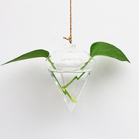 Vase suspendu en verre transparent, globe suspendu, terrarium pour décoration, vase de différentes formes