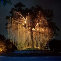 Lumières LED RVB colorées à fibres optiques pour l'extérieur, éclairage d'ambiance paysager, lumière d'arbre Avatar pour parcs et décorations de fêtes