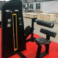 ASM-B1027 Appareil d'entraînement professionnel pour l'extension dorsale et les abdominaux, populaire sur le marché