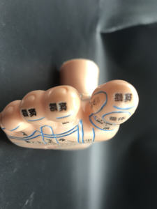 पैर एक्यूपंक्चर बिंदु एनाटॉमी मॉडल पर्यावरण के अनुकूल pvc प्लास्टिक चीनी चिकित्सा शिक्षण उपकरण कक्षा I - Product Image 4