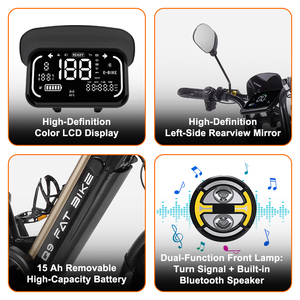 Bicicleta Eléctrica Italia Q9 48V 15AH 250W Europa con Neumáticos Anchos de 20 Pulgadas, Acelerador y 7 Frenos - Product Image 5
