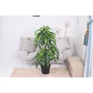 Kunstmatige Plant Simulatie Indoor Groene Muur Kokosnoot Led Pot Bloemen Met Led Lights Faux Olijf Kunstmatige Olijfbomen 3 Meter