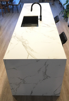 Wiselink Moule à surface solide découpé en feuilles de résine acrylique ignifugé imperméable panneau mural en pierre artificielle bureau de réception-NSF