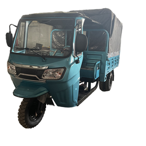 Nuevo estilo 250cc <span class=keywords><strong>triciclo</strong></span> de pasajeros y carga <span class=keywords><strong>triciclo</strong></span> motocicleta combustible gasolina tres ruedas motocicleta - Product Image 1