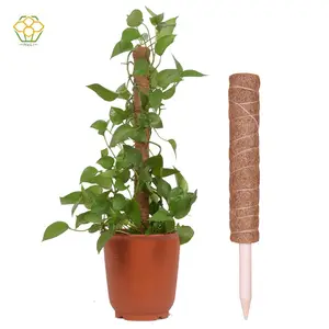Coco Totem Pole Moss Stick suporte de planta para Trepadeiras Plantas Suporte Extensão Crescimento