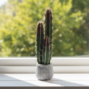 Planta Artificial de Cacto em Vaso, Simulação de Suculenta para Decoração Interna de Casa e Escritório, Ornamento de Mesa com Vaso Trançado - Product Image 2