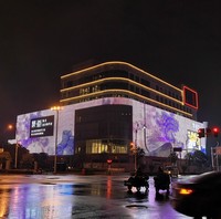 Écran vidéo LED transparent P20 DMX à prix abordable, étanche IP68, pour centres commerciaux et magasins de détail