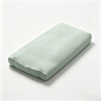 Oreiller en mousse de silicone 60D personnalisé OEM/ODM, lavable et respirant, pour adultes, maison et hôtel