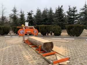 Scie <span class=keywords><strong>à</strong></span> ruban professionnelle de 18 pouces, scierie robuste <span class=keywords><strong>à</strong></span> essence, machine de découpe du <span class=keywords><strong>bois</strong></span>, moteur de sciage de <span class=keywords><strong>bois</strong></span> pour bricolage, <span class=keywords><strong>fendeuse</strong></span> de bûches - Product Image 2
