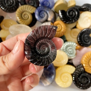 Cristalli Naturali Misti all'Ingrosso, Ammonite Intagliata a Mano, Cristalli Curativi in Quarzo, Artigianato per Arredamento Casa, Guarigione e Regalo - Product Image 4
