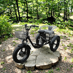 Triciclo Elettrico Fuoristrada CC4 350W con Sedile Posteriore, Pneumatici Larghi, <span class=keywords><strong>Bici</strong></span> a <span class=keywords><strong>3</strong></span> Ruote per Passeggeri e Carico Alimentata da Batteria al Litio - Product Image 3