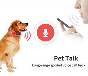 <span class=keywords><strong>Localizzatore</strong></span> all'ingrosso di fabbrica per cane gatto <span class=keywords><strong>tractive</strong></span> <span class=keywords><strong>gps</strong></span> impermeabile collare di localizzazione in tempo reale pet tracker - Product Image 4