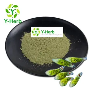 バルクサプリメントバルク緑藻/ユーグレナエキスパウダー10:1 99% 緑藻/ユーグレナパウダー