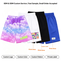 Shorts de basketball personnalisés pour hommes en maille respirante Spandex/Polyester avec logo imprimé par transfert thermique sur le devant et cordon de serrage OEM/ODM