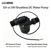 Pompe centrifuge CC sans balais OEM mini 24V à faible bruit et basse tension pour système de circulation d'eau chaude