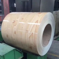 Bobine de tôle galvanisée prélaquée CS-A CS-B CS-C à haute adhérence pour la fabrication de panneaux publicitaires