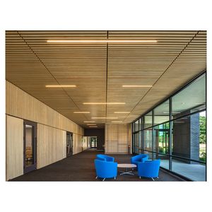 Carreau de <span class=keywords><strong>plafond</strong></span> moderne en aluminium à lamelles en métal de style industriel pour la décoration intérieure et extérieure - Product Image 6