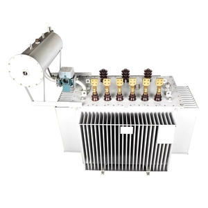 Trasformatore Trifase a Immersione in Olio 800kva 1000 Kva 35kv/400v Prezzo di Fabbrica - Product Image 3