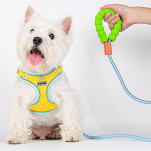Productos de moda para mascotas Correa ajustable para mascotas Algodón de burbujas suave con choque de colores vibrantes Correa de perro de nylon de lujo para mascotas de todos los tamaños - Product Image 1