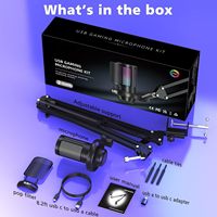 Tout Nouveau Microphone Gaming USB RVB Cardioïde Économique avec Bras Support de Bureau pour Enregistrement PC Ordinateur et Podcast