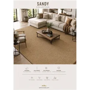 Alfombra de Polipropileno Beige Petra Sandy 13, 10-12 mm de Grosor, Resistente a Mordidas de Mascotas, para Alto Tráfico, para Dormitorio, Sala de Estar, Suave y Duradera - Product Image 3
