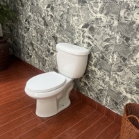 WC en céramique deux pièces à prix abordable, avec siphon en S, pour salle de bain, de Chaozhou