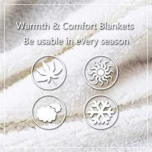 Couverture en flanelle à motifs floraux et papillons, couverture de sieste légère et respirante pour la chaleur hivernale, impression personnalisée - Product Image 5