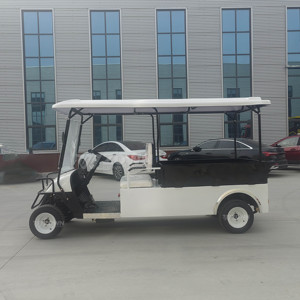 2 Seater 48 <b>Volt</b> Lithium Battery Electric Golf Cart Street Legal Custom Side <b>Boxes</b> CE for Hotel Park - Product Image 5