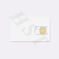 Carte IOT 30 Mo, valable 12 mois, pour 1 an, pour traceur GPS mondial