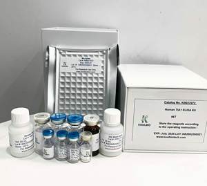 Kit ELISA para Péptido YY Humano |   Pruebas <span class=keywords><strong>de</strong></span> Alta Sensibilidad, 96 Unidades |   Método Sandwich Solo para Uso en Investigación - Product Image 2