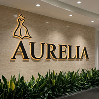 Enseigne lumineuse extérieure personnalisée en métal, enseignes 3D rétroéclairées par LED, lettres en relief LED, enseigne intérieure lumineuse, logo en lettres LED