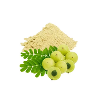 Extrait d'Amla en poudre naturelle de qualité supérieure, riche en vitamine C, pour le bien-être et la vente en gros